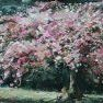 Le printemps - Cerisier-fleurs [Huile - 46 x 61]