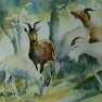 Les chèvres [Aquarelle - 35 x 45]