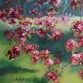 Cerisier-fleurs - Détail
